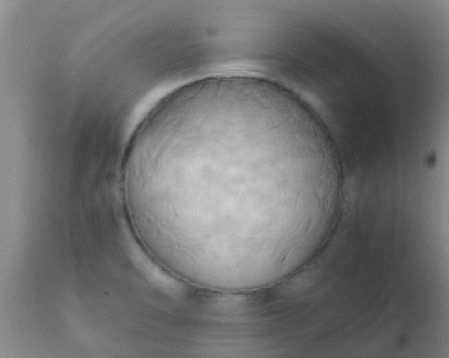 X0000110971470200907022233