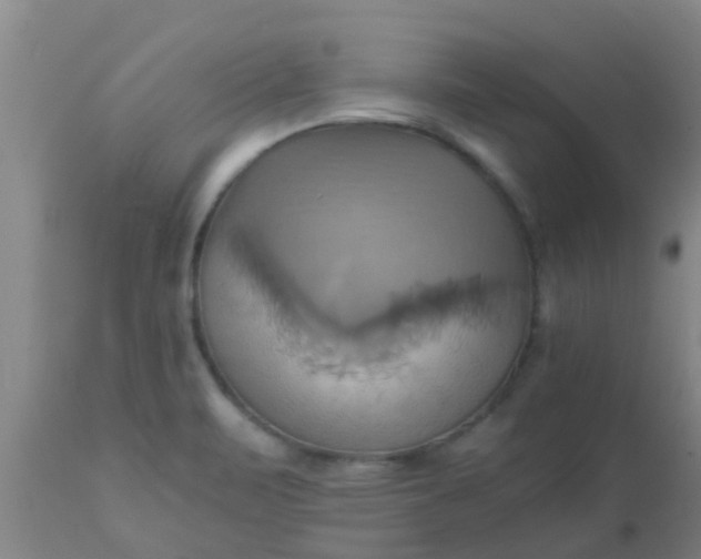 X0000110971471200907022233