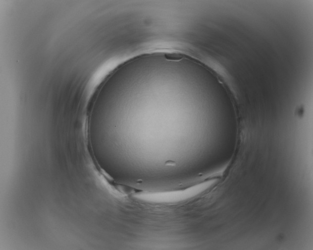 X0000110971472200907022233