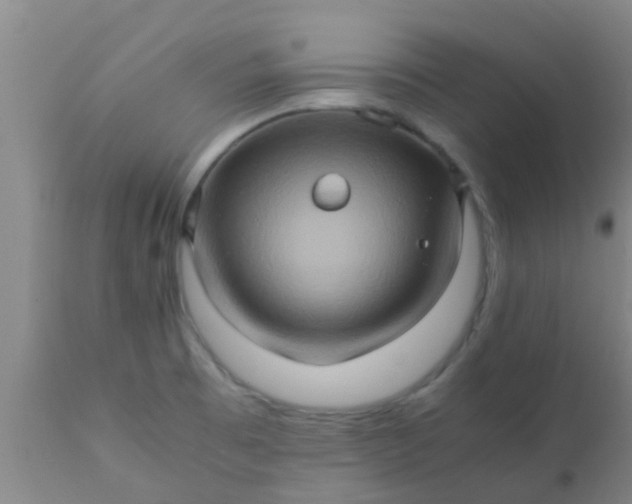 X0000110971473200907022233