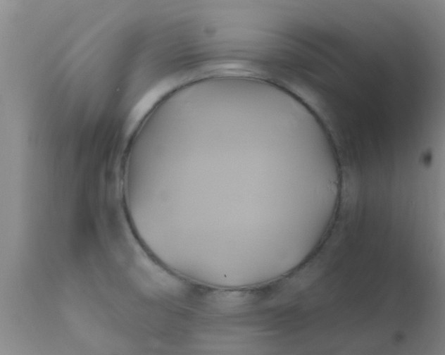 X0000110971474200907022233