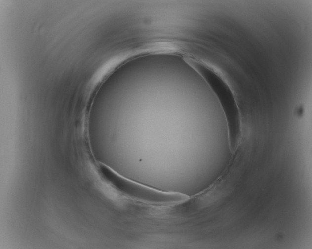 X0000110971477200907022233