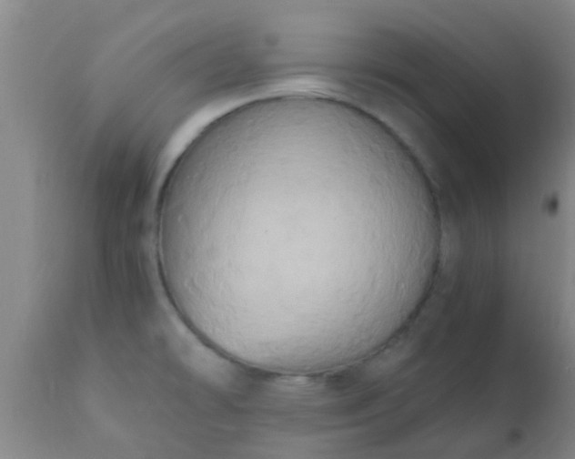 X0000110971478200907022233