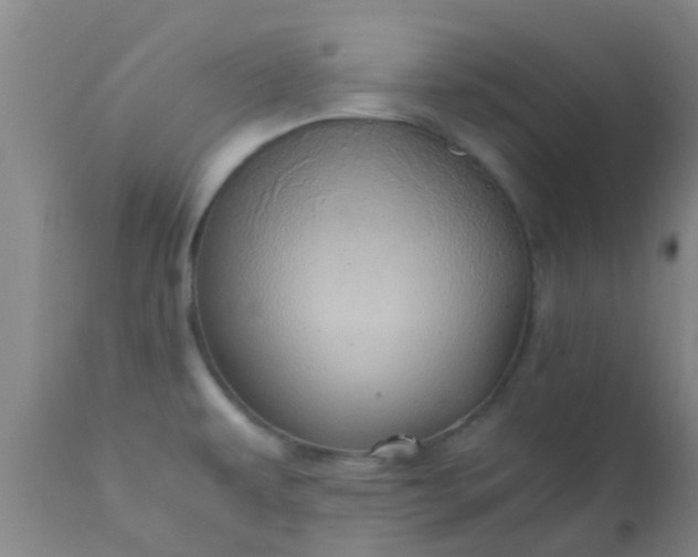 X0000110971479200907022233