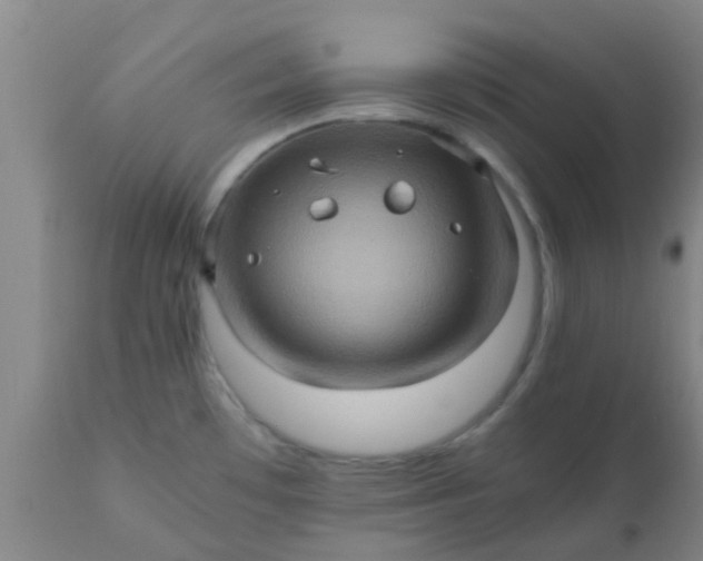 X0000110971481200907022233