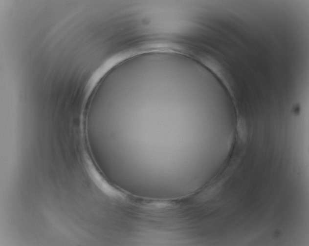 X0000110971482200907022233