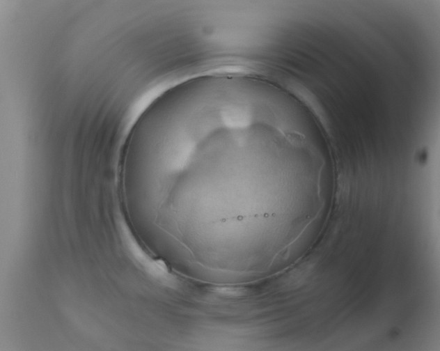 X0000110971483200907022233