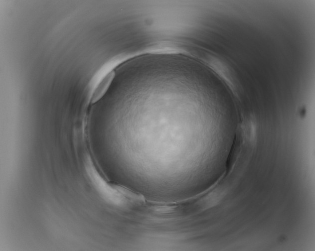 X0000110971484200907022233