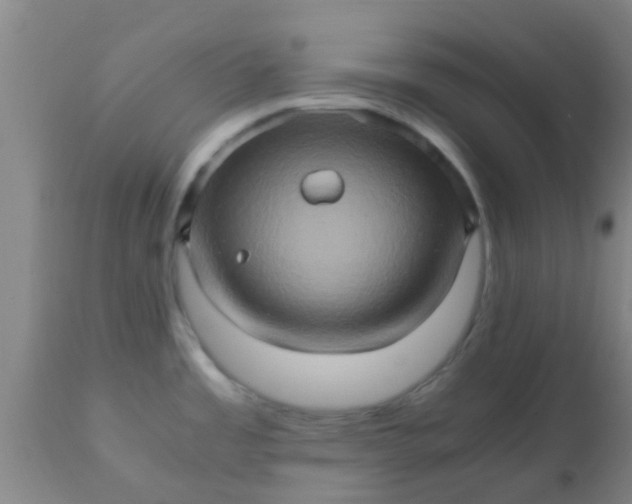 X0000110971485200907022233