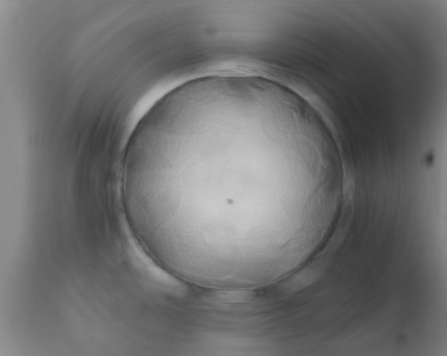 X0000110971486200907022233