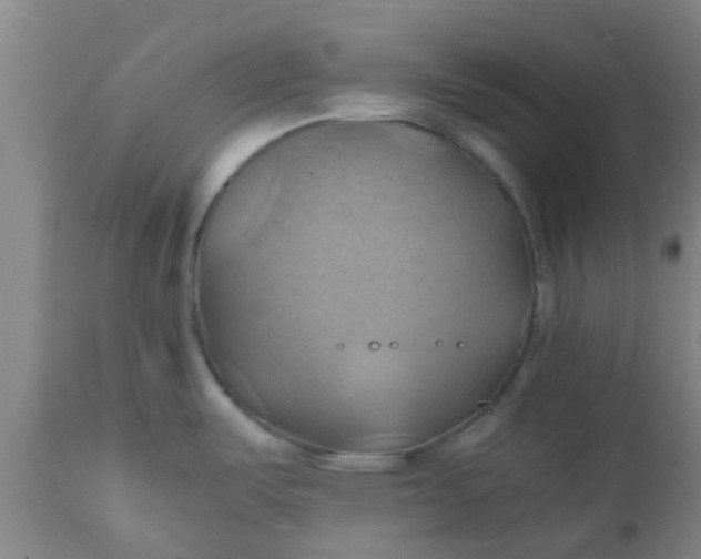 X0000110971487200907022233