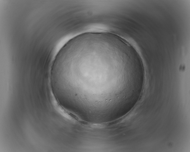 X0000110971488200907022233