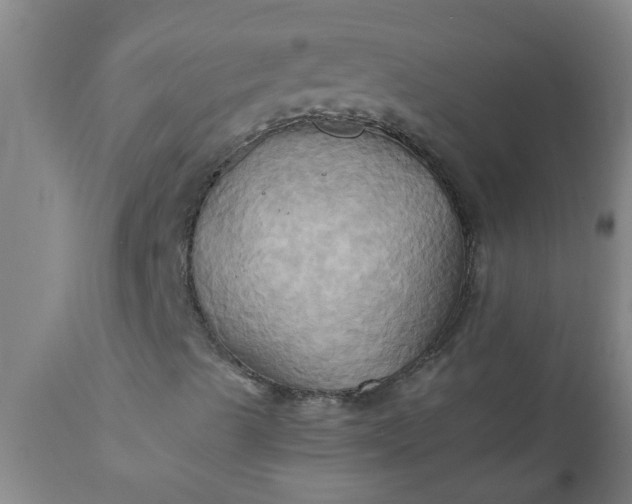 X0000110971489200907022232