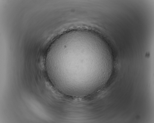 X0000110971490200907022232