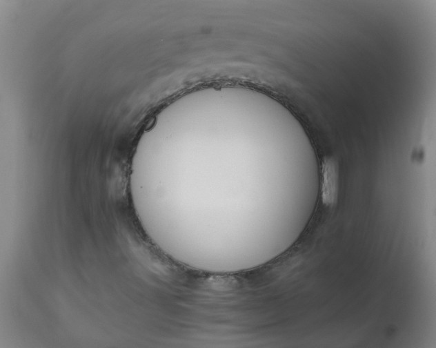 X0000110971491200907022232