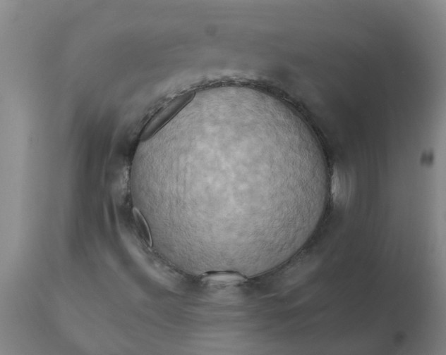 X0000110971492200907022232