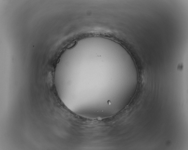 X0000110971493200907022232