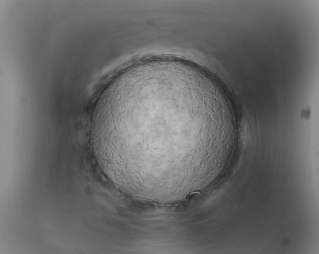 X0000110971494200907022232