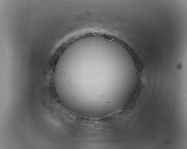 X0000110971495200907022232