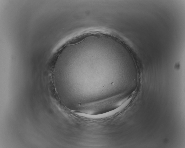 X0000110971496200907022232