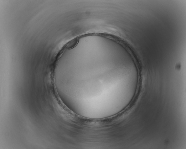 X0000110971497200907022232