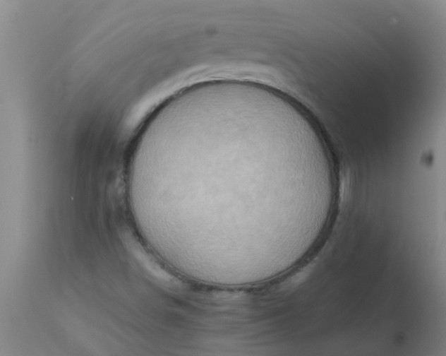 X0000110971498200907022232