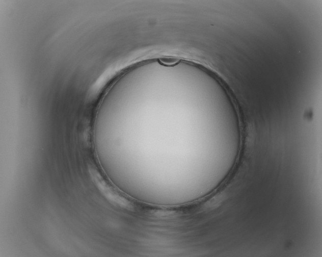 X0000110971499200907022232