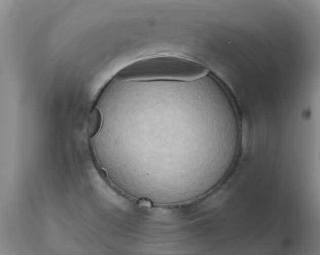 X0000110971500200907022232