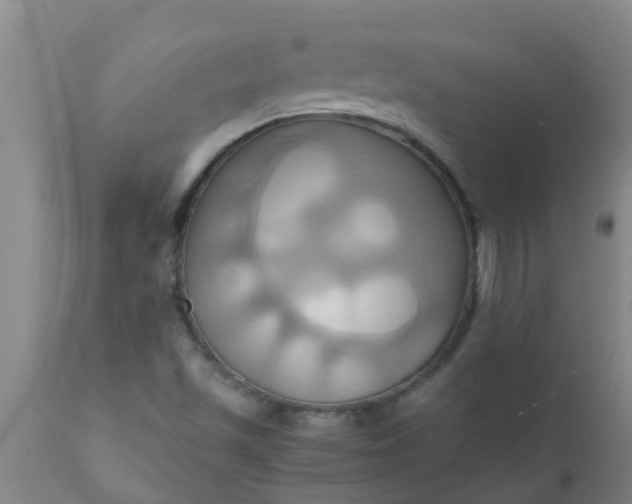 X0000110971501200907022232