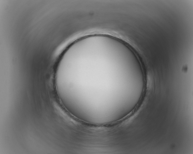 X0000110971502200907022232