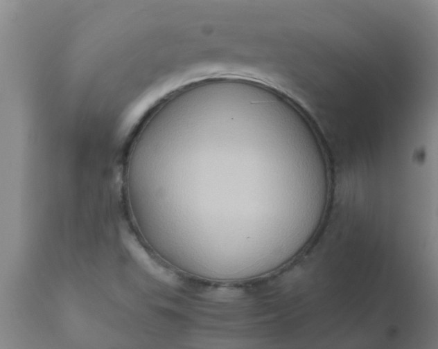 X0000110971503200907022232