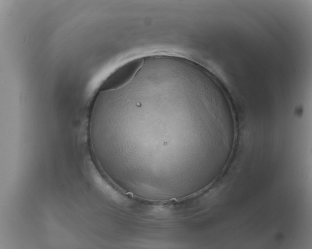 X0000110971504200907022232