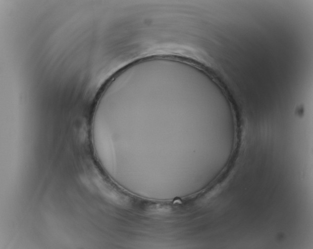 X0000110971505200907022232