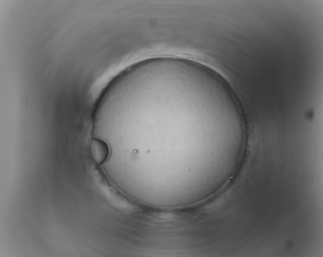 X0000110971507200907022232