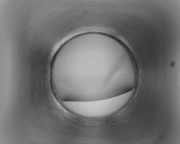 X0000110971508200907022232