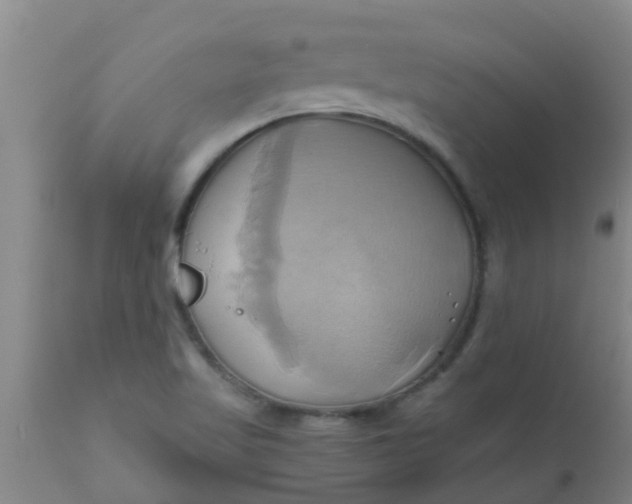 X0000110971509200907022232