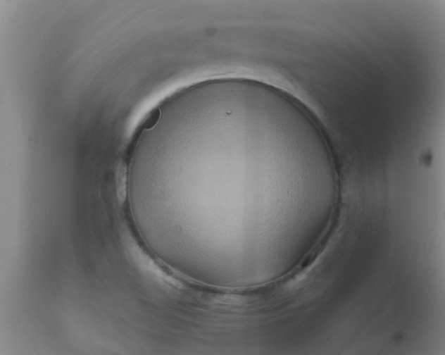 X0000110971510200907022232