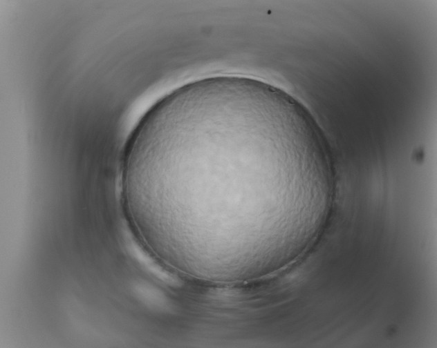 X0000110971511200907022232