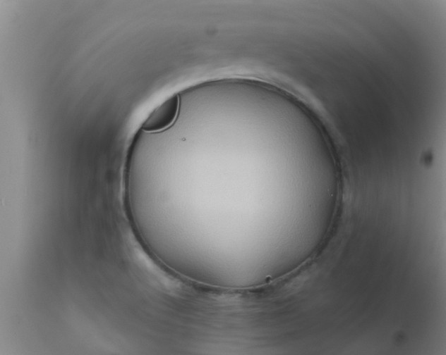 X0000110971512200907022232