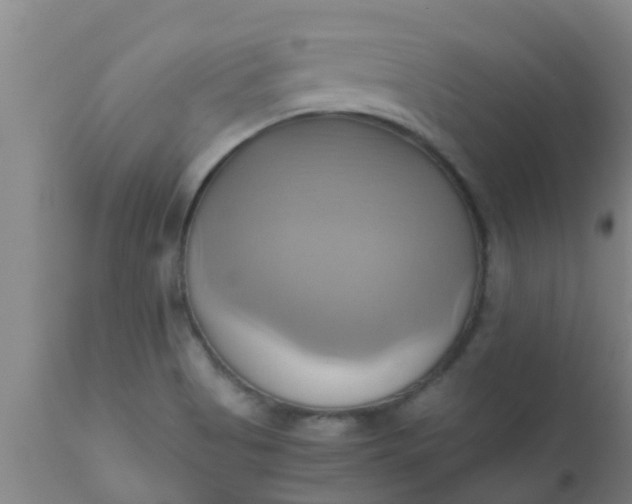 X0000110971513200907022232