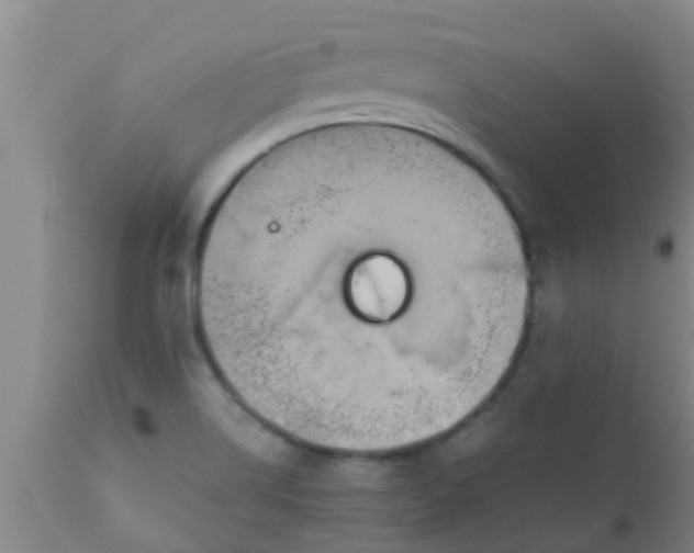 X0000110971514200907022232