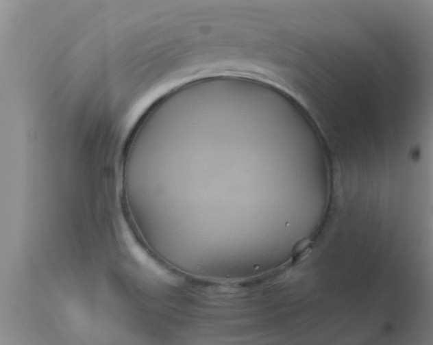 X0000110971515200907022232