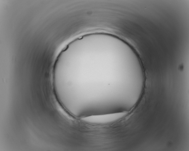 X0000110971516200907022232