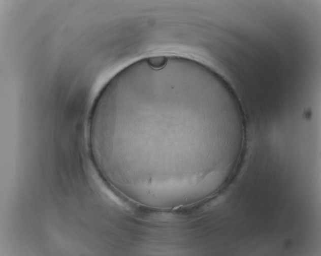 X0000110971517200907022232