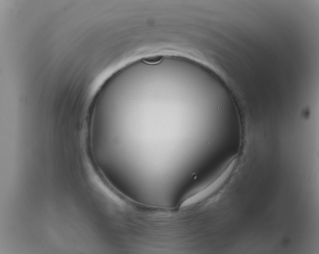 X0000110971518200907022232