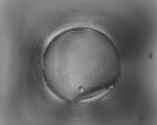 X0000110971519200907022232