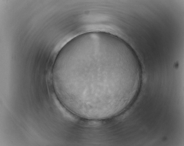 X0000110971521200907022232