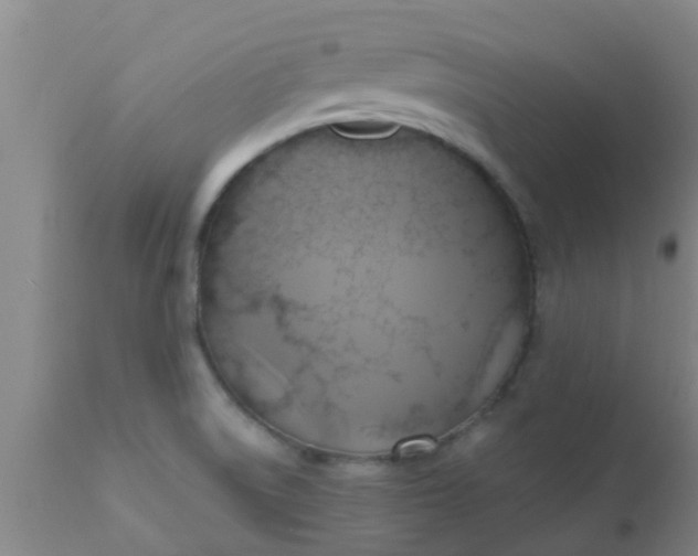 X0000110971522200907022232