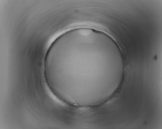 X0000110971523200907022232