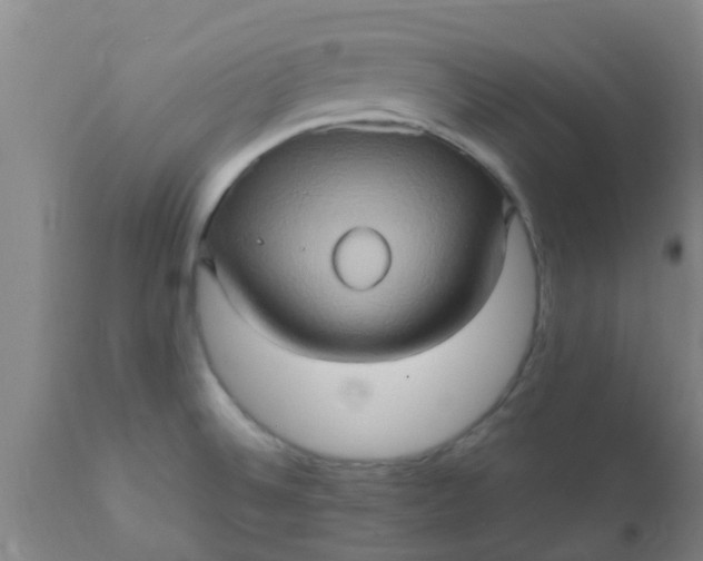 X0000110971524200907022232